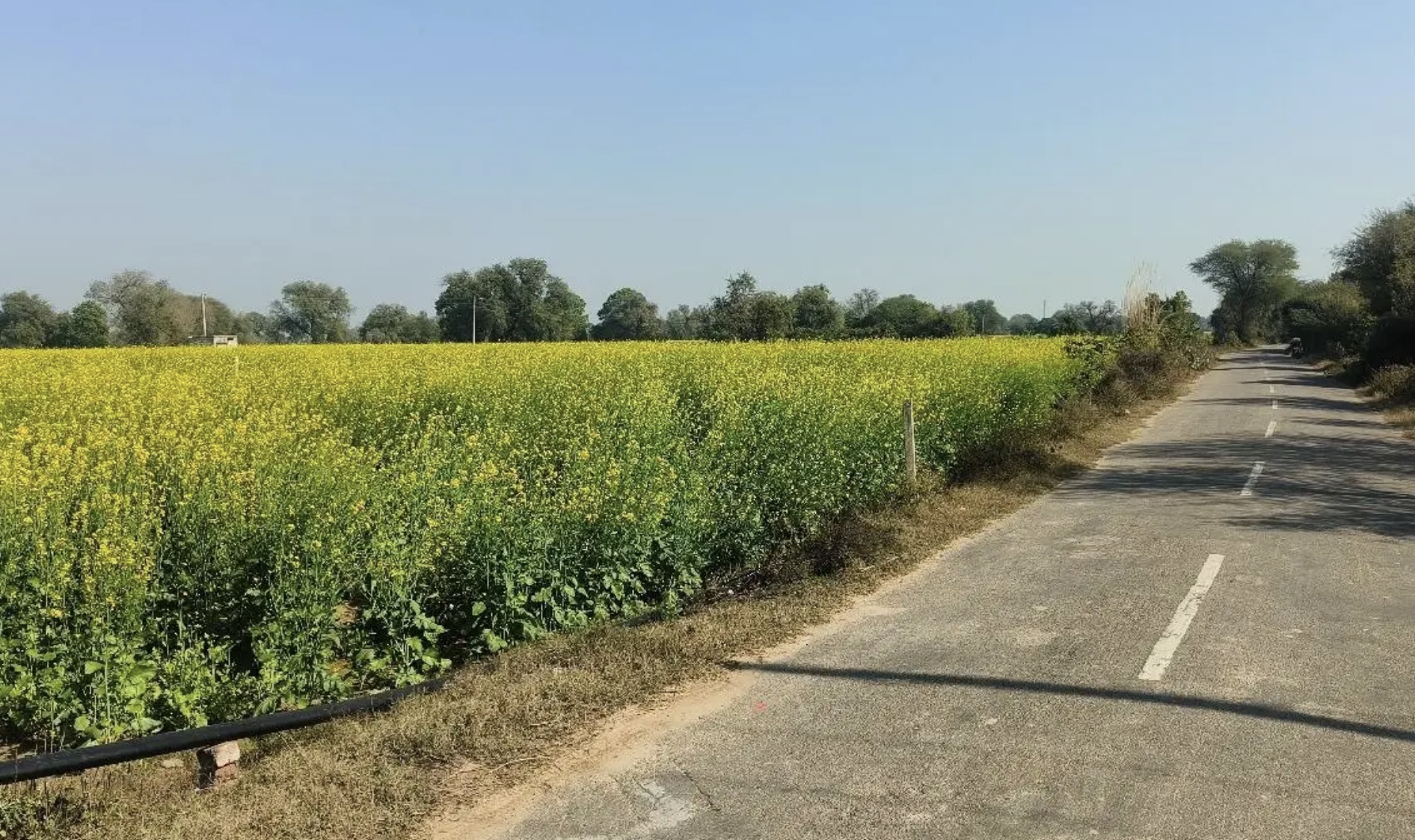 2 Acre Industrial Land for Sale in Kharkhoda, Sonipat | Prime Location | Ideal for Factory, Manufacturing & Warehouse office space in Kharkhoda Ef12