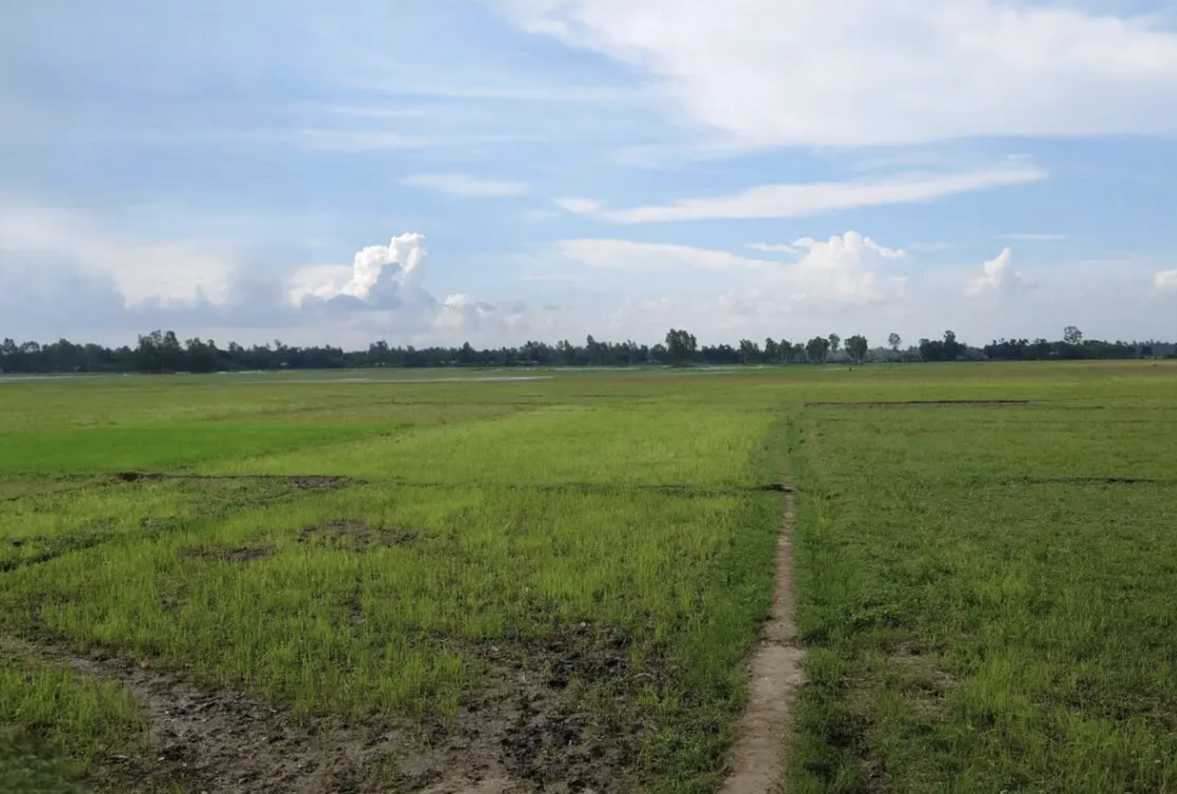 450 Sq. Meter Industrial Plot for Sale in Kharkhoda, Sonipat | Prime Location | Ideal for Factory, Manufacturing & Warehouse office space in Kharkhoda Ef12